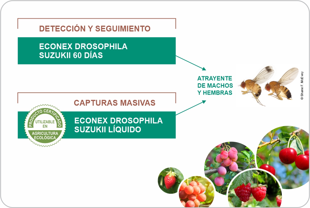 BIOCONTROL con las soluciones de ECONEX